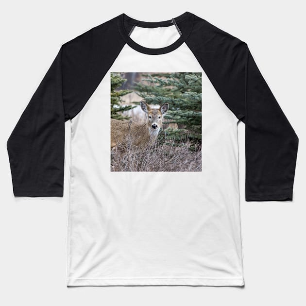 White tailed deer Baseball T-Shirt by CanadianWild418